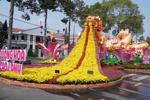 Chiêm ngưỡng đường hoa xuân Đất Sen Hồng