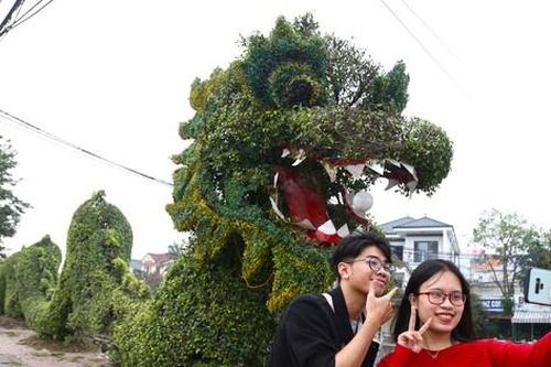 Bất ngờ diện mạo mới của cặp rồng xanh ở Vinh sau 'thẩm mỹ'