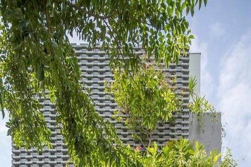 Thú vị với nhà ống có cấu trúc mở ở bên trong