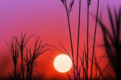 ƯỚC GÌ NGÀY THÁNG BÌNH YÊN