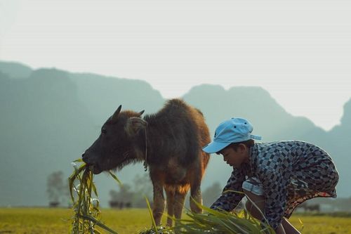 Những con số ấn tượng về làng du lịch tốt nhất thế giới nơi rốn lũ Tân Hóa