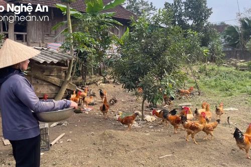 Xuân về trên vùng đất mới