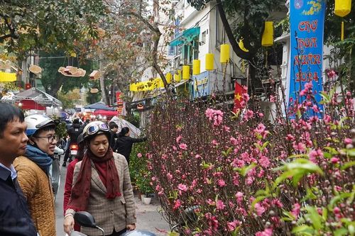 Tiểu thương ngao ngán khi Chợ hoa Hàng Lược 'đông khách ngắm, vắng khách mua'