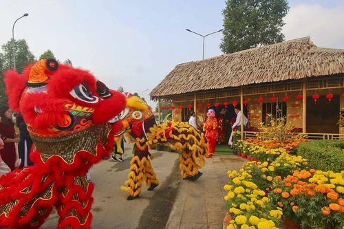 Tỉnh Hậu Giang khai mạc Đường hoa Xuân Giáp Thìn chào đón Năm mới