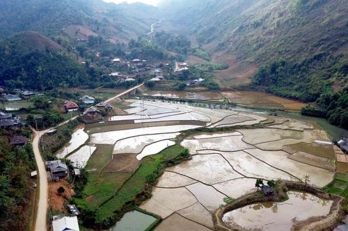 Sơn La: Vẻ đẹp những thửa ruộng ở É Tòng mùa nước đổ