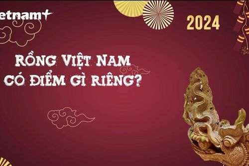 Chuyên gia trả lời những câu hỏi thường gặp về Rồng Việt Nam