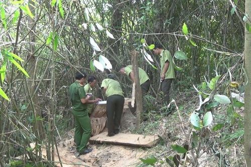 Đắk Lắk: Xem xét, thi hành kỷ luật nhiều nguyên cán bộ