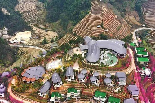 Rừng đào nhuộm hồng Mù Cang Chải