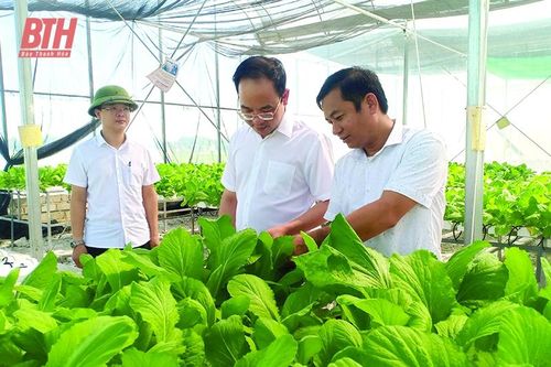 Nông Cống - khát vọng phát triển toàn diện