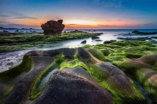 Hấp dẫn bãi rêu ở Cổ Thạch