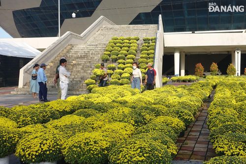 Kết thúc chợ hoa Tết Giáp Thìn trước 21 giờ ngày 9-2 (30 tháng Chạp) để bảo đảm vệ sinh môi trường