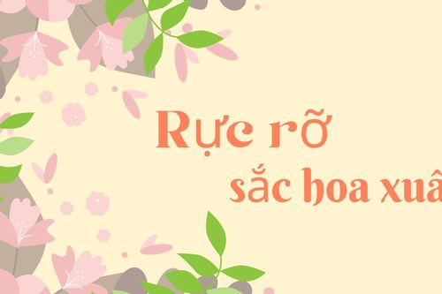 Rực rỡ sắc hoa xuân