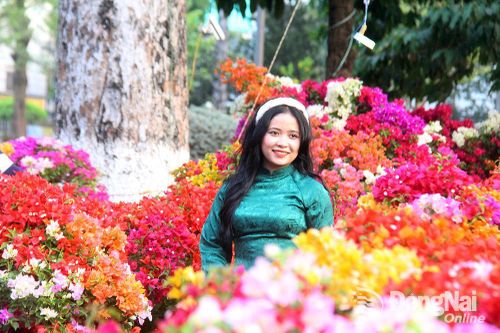 Rộn ràng không khí tết tại hội chợ hoa xuân lớn nhất Biên Hòa