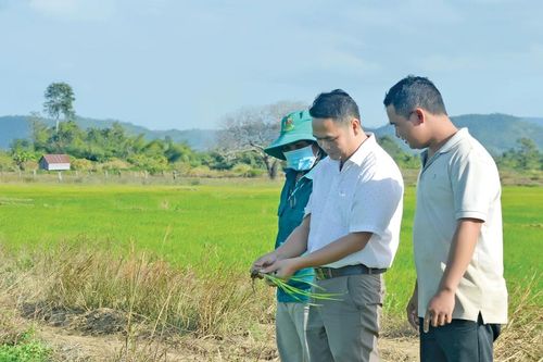 Trọn thanh xuân với miền biên ải