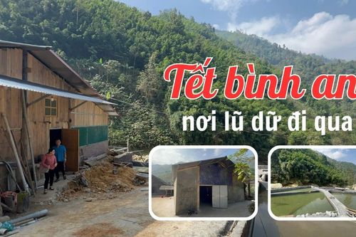 Tết bình an nơi lũ dữ đi qua
