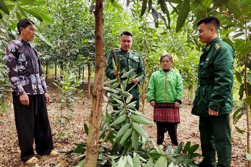 Xuân về trên bản Lũng Pô
