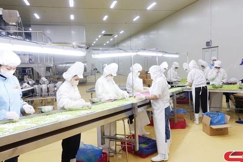 Khởi sắc nông nghiệp Sơn La