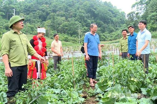 Phát triển nông nghiệp đa giá trị