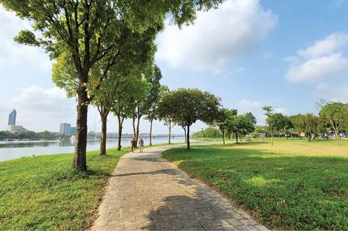 Thức giấc giữa miền xanh