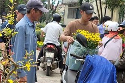 Hoa nhiều, nhưng khách chưa đông