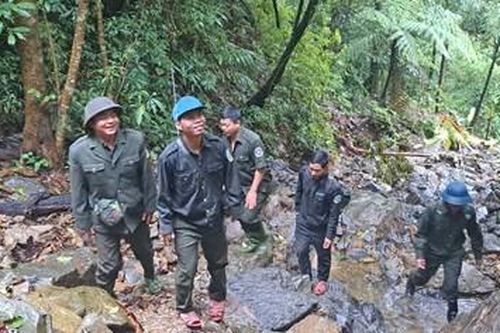 An toàn cho những cánh rừng già