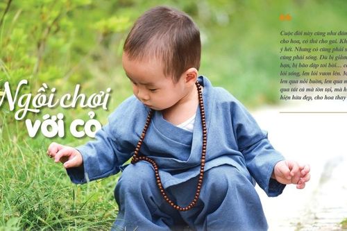 Ngồi chơi với cỏ
