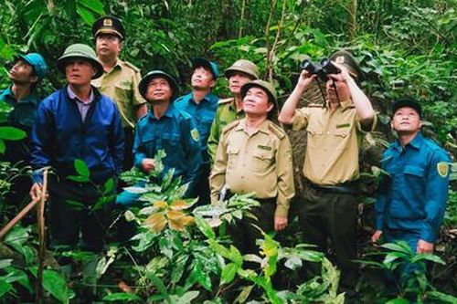 Giữ rừng thêm những mùa xuân