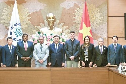 Khẳng định vị thế và 'sức mạnh mềm' của ngoại giao nghị viện