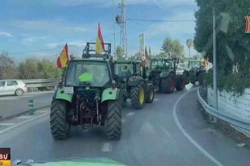 Nông dân Tây Ban Nha phản đối chi phí tăng cao