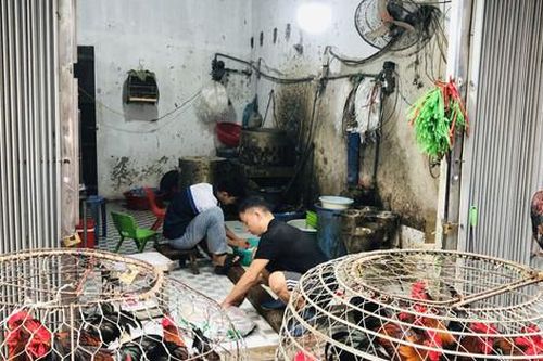 Thực trạng giết mổ gia cầm tại chợ: Tiềm ẩn nguy cơ đe dọa sức khỏe cộng đồng