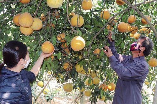 Huyện Quốc Oai vững tin bước vào năm mới