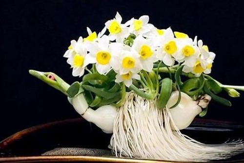 10 loại cây cảnh mang tài lộc, thịnh vượng vào nhà ngày Tết