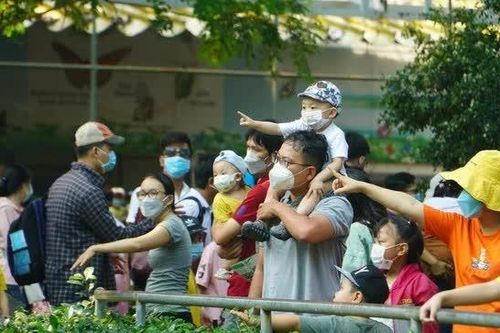 TPHCM đón Tết Nguyên đán trong thời tiết thuận lợi