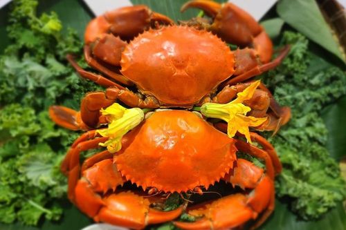 Nâng tầm thương hiệu du lịch Cà Mau