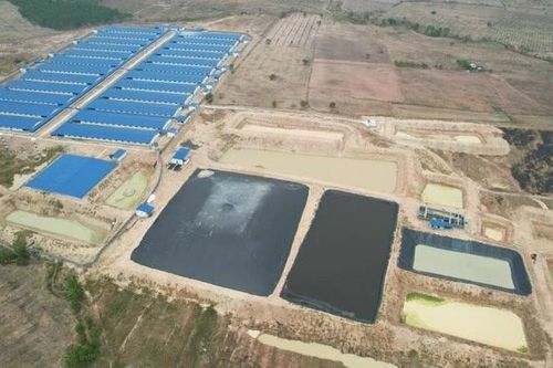 Nuôi heo nhưng không có giấy phép môi trường, doanh nghiệp bị phạt 320 triệu đồng