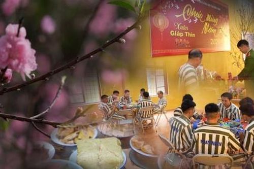 Tết của những người lầm lỡ