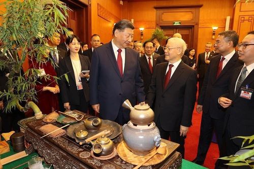 'Cây' quyền lực mềm của Việt Nam ngày càng xòe tán rộng
