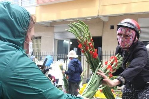 Người dân Đà Nẵng giải cứu hàng ngàn bó hoa lay ơn