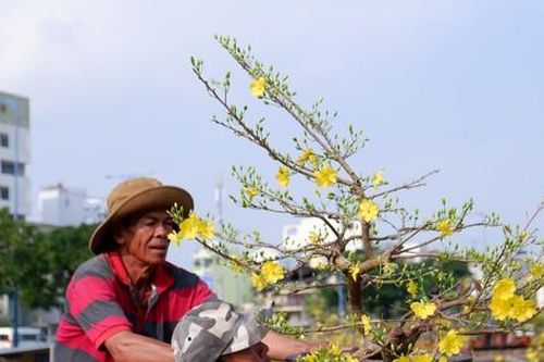 Cảnh 'trên bến dưới thuyền' tấp nập tại chợ hoa bến Bình Đông
