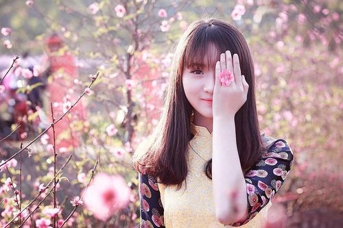 Lời chúc Tết bạn bè vui vẻ, ý nghĩa nhất năm Giáp Thìn 2024