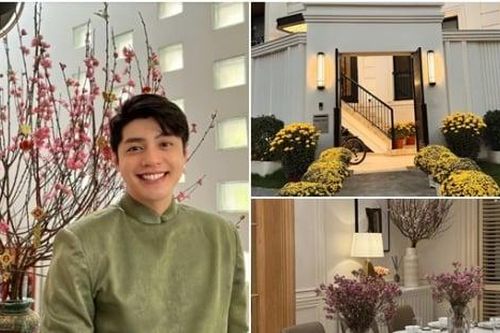 Cơ ngơi sao Việt cận Tết: Noo Phước Thịnh sắm 30 chậu cúc, 6 chậu mai, 6 bình đào và…