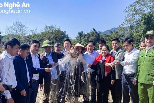 Chuyện 'giữ' cá mát ở Nặm Cướm
