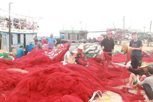 Trúng 'lộc biển' đầu Xuân, ngư dân Quảng Trị kỳ vọng mùa biển mới bội thu