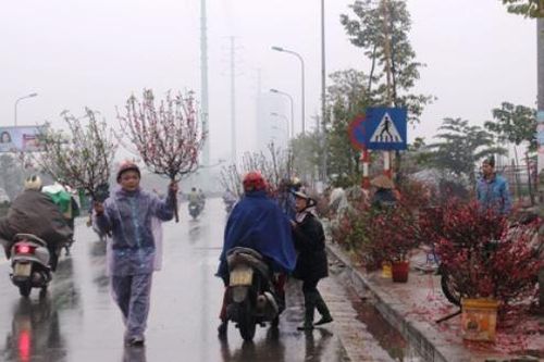 Thời tiết Tết Nguyên đán Giáp Thìn 2024: Miền Bắc mưa nhỏ, trời rét đậm