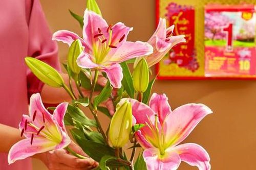 Tết này, mẹ con ta lại về quê!