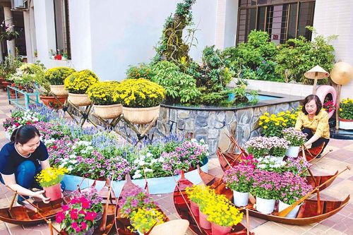 Sắc màu hoa Tết