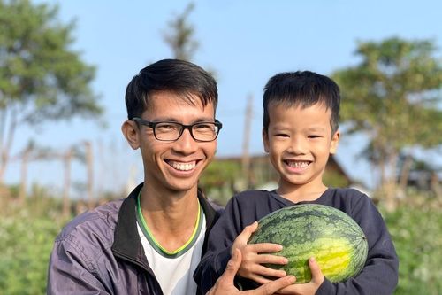 Mướt xanh vườn dưa hấu vào vụ Tết