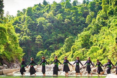 Noọng ơi, mùa xuân về!