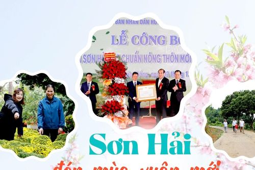 Sơn Hải đón mùa xuân mới