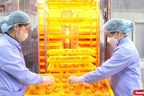 Đẩy mạnh xúc tiến thương mại để hội nhập kinh tế quốc tế